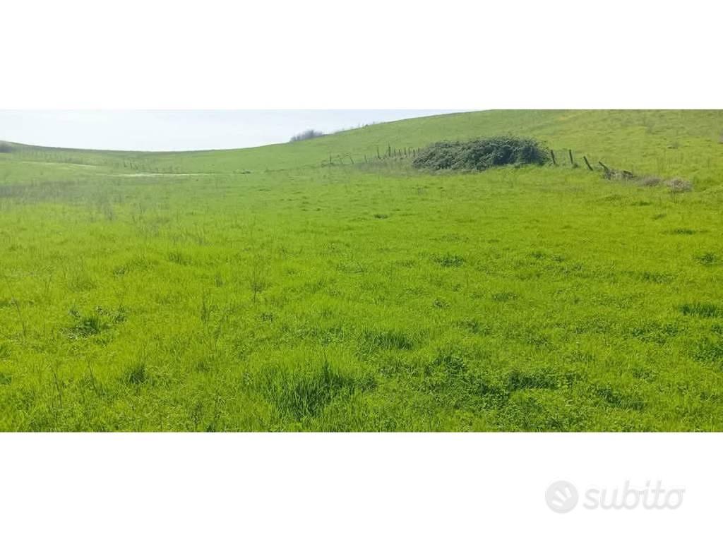 Terreno di 44170 m² a Anguillara Sabazia - Vista 3