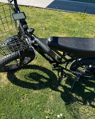 Bici fat elettrica