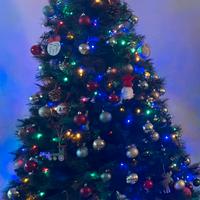 Albero di natale Coin Polo Sud 200 cm