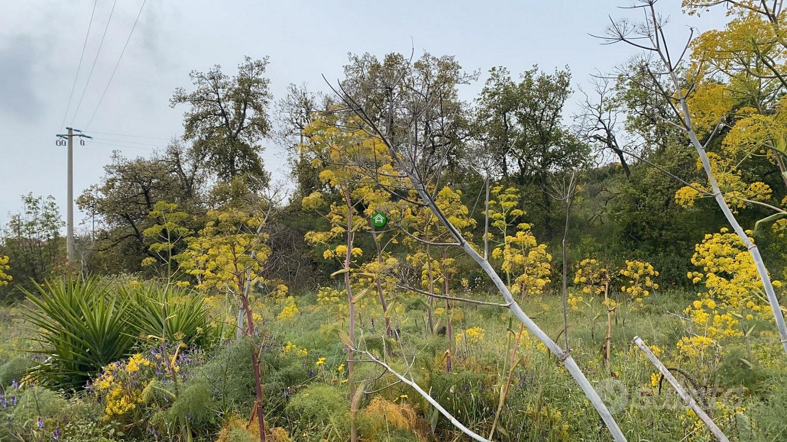 Terreno Via Trigona Pedara - Vista 3