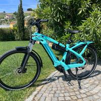 BIANCHI E-OMNIA  T TYPE Step-Through XT 12V YSBE5