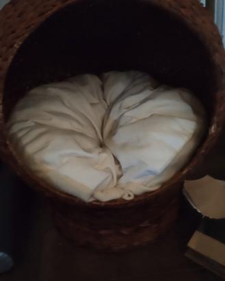 cuccia per gatti