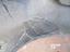 Immagine 10