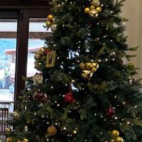 Albero di Natale alto m 2.40