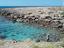 Immagine 16