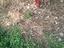 Immagine 5