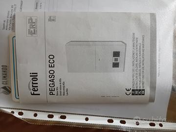Scaldacqua a camera aperta Ferroli pegaso eco 11