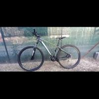 mtb  adriatica