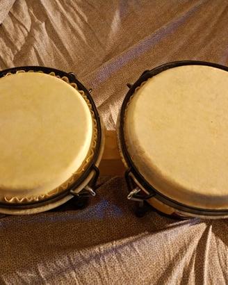 Bongos
