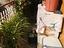 Immagine 8