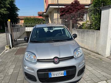 Fiat panda 1.2 Easy Connected