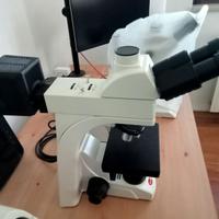 Microscopio Ottico Trinoculare 50X-500X Motic