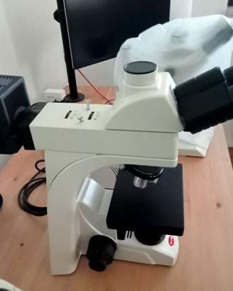 Microscopio Ottico Trinoculare 50X-500X Motic