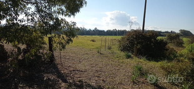 Terreno agricolo