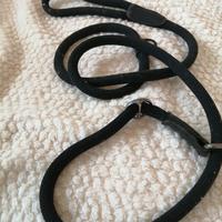 Guinzaglio per cani.