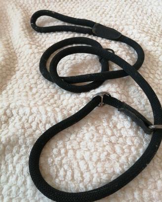 Guinzaglio per cani.