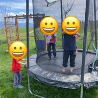 Trampolino elastico 240 con rete