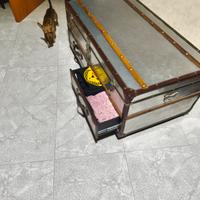 baule con rotelle in metallo 