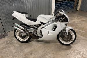 Suzuki rgv gamma 250