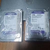 HD Western Digital per Videosorveglianza 