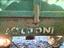 Immagine 3