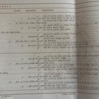 Dobermann Cucciolona