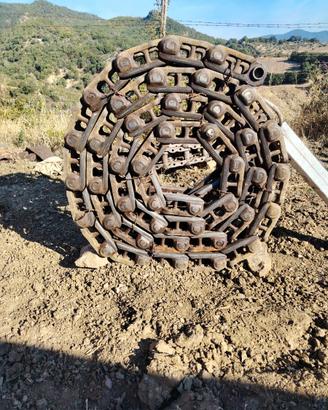 Catene cingoli