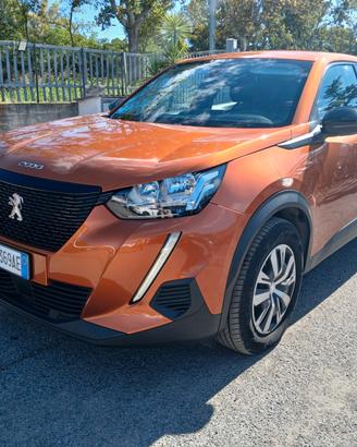 Peugeot 2008 PureTech 100 S&S Active
