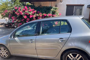 Volkswagen Golf 1.9 TDI 2007