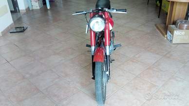 Moto morini 100 sbarazzino