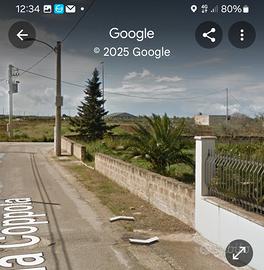 terreno recintato 