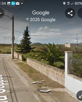 terreno recintato 