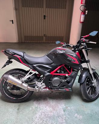 Benelli bn251 (2016)- scarico arrow omologato
