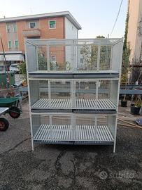 Gabbia ricovero per cani