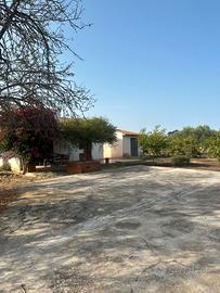 Terreno agricolo Augusta