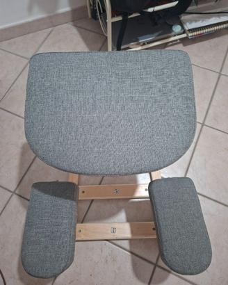 Sedia ergonomica svedese