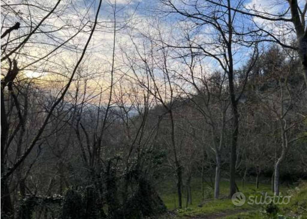 Immobile in asta di 14363 m² a Monzuno - Vista 2