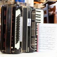 Fisarmonica Perfettamente Funzionante – 24296