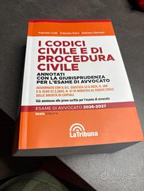 Codice civile e procedura civile esame avvocato