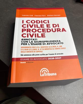 Codice civile e procedura civile esame avvocato