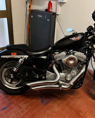 Harley davidson 883 low
