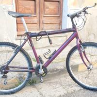 Mountain bike 26