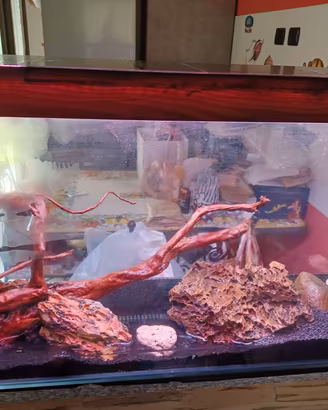 Acquario 