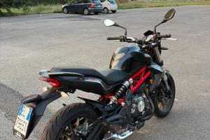 Benelli bn302