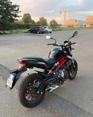 Benelli bn302