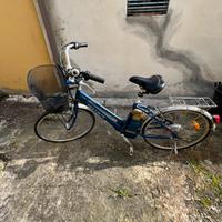 Bici pedalata assistita