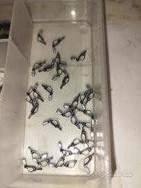 Treni FS accoppiatori RECH scala 1/87