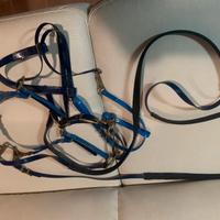 Testiera cavallo in Biothane blu e azzurra