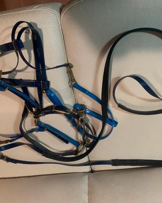 Testiera cavallo in Biothane blu e azzurra