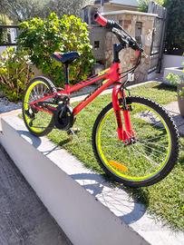 Bicicletta 20pollici